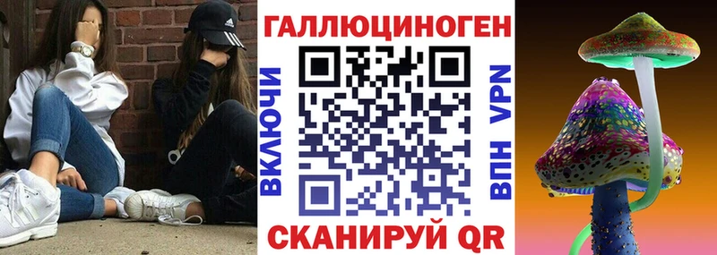 Псилоцибиновые грибы Cubensis Донской