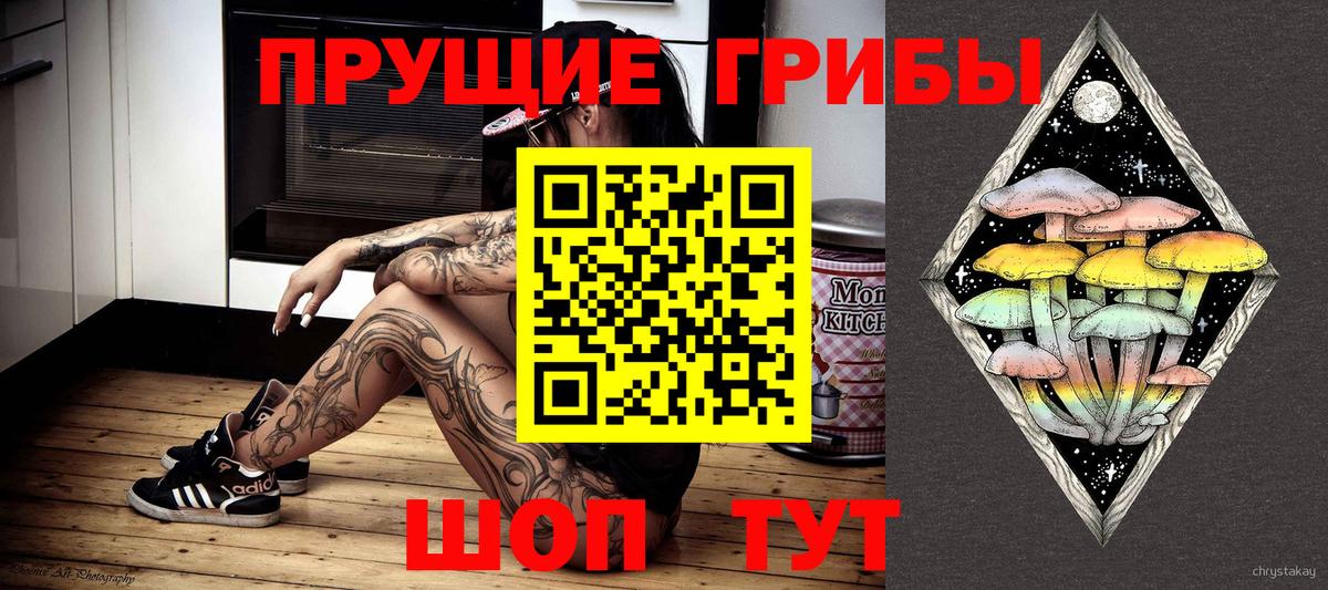 Псилоцибиновые грибы Psilocybine cubensis Донской