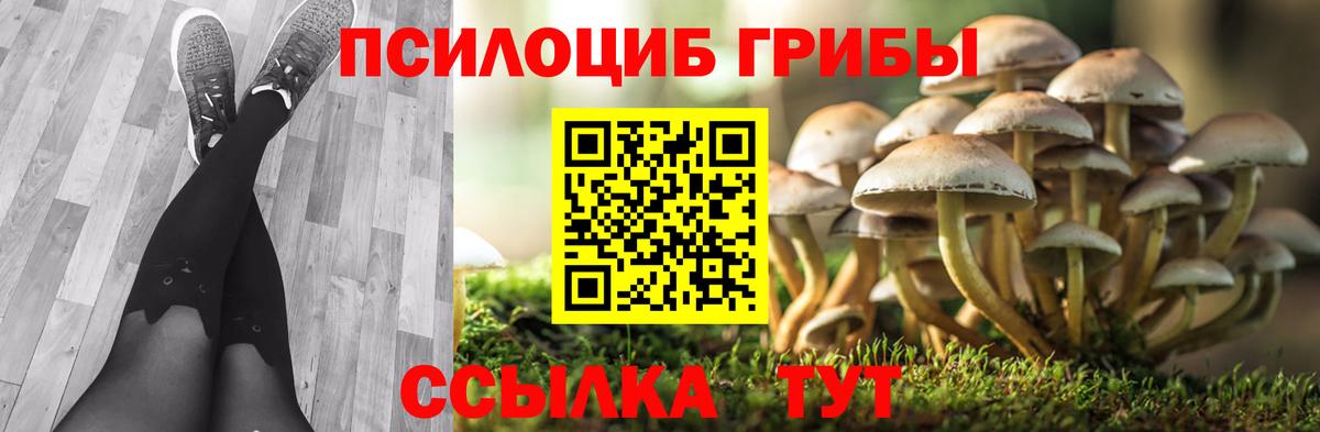 Донской  Галлюциногенные грибы GOLDEN TEACHER  Вход с VPN  сколько стоит  Галлюциногенные грибы мицелий 