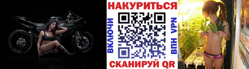 где купить наркотик  блэк спрут ссылки  Бошки марихуана семена  Донской 